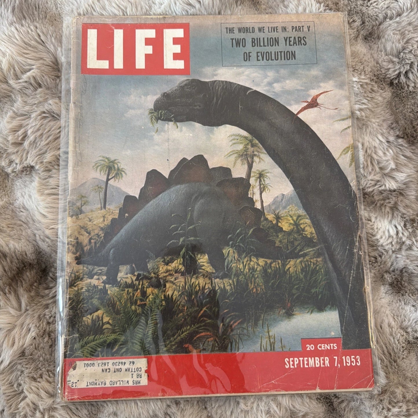 Life Magazine September 7, 1953