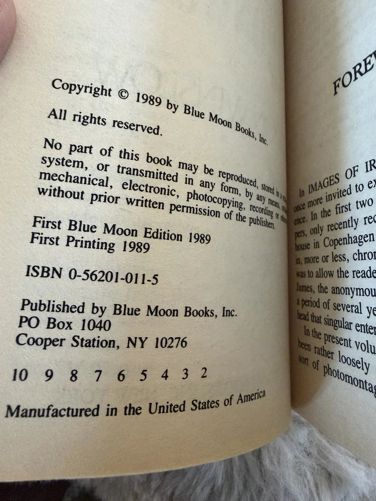 First Printing 1989 Images of Ironwood Don Winslow Blue Moon Books Collector