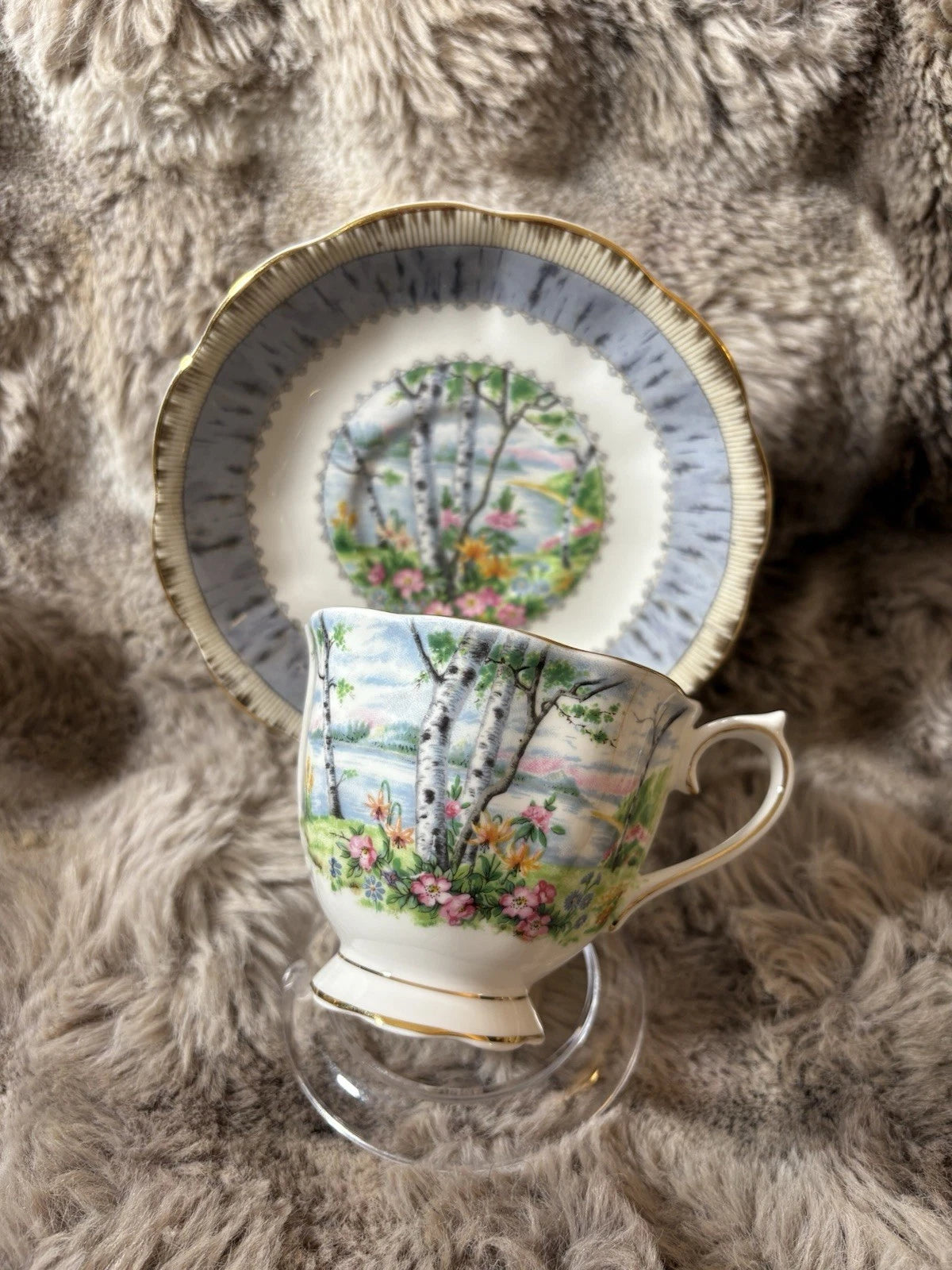 Royal Albert Silver Birch Teacup & Saucer – Both Cracked –Bone China- Sold As Is