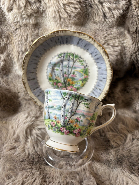 Royal Albert Silver Birch Teacup & Saucer – Both Cracked –Bone China- Sold As Is