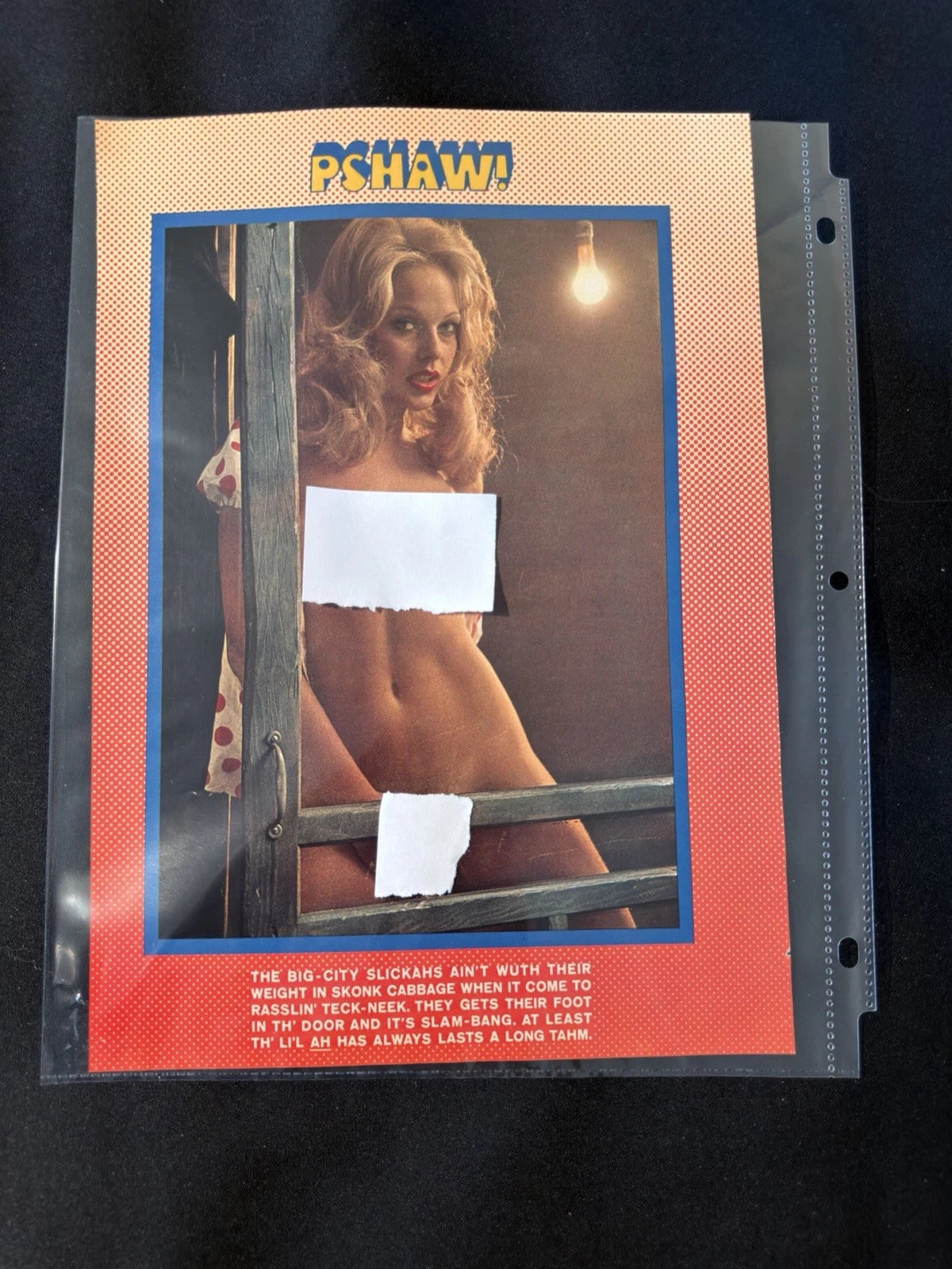 Vintage Playboy Magazine Pop Art Comic Page Set 1970s Erotic Humor Ephemera