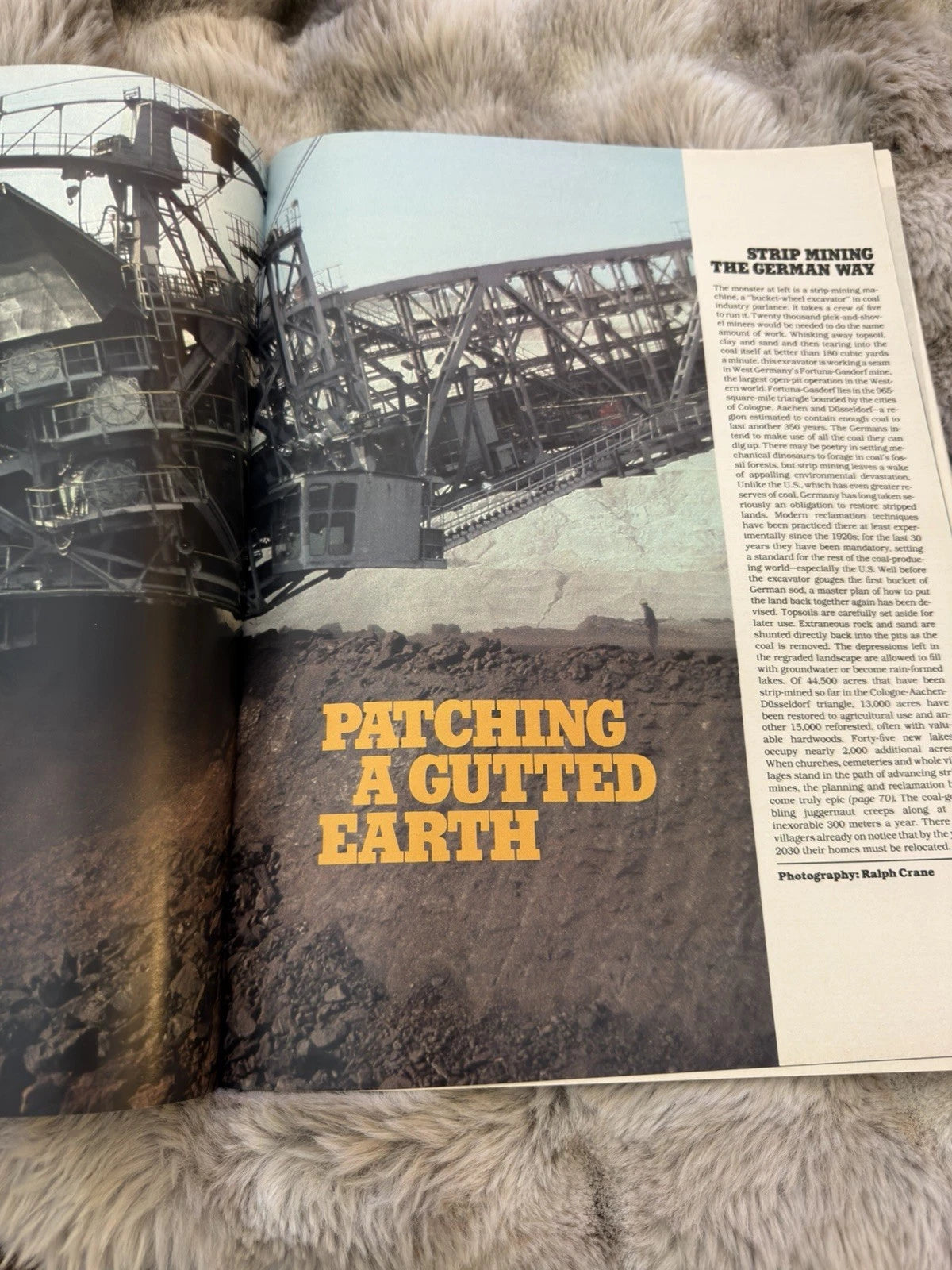 Life November 1980