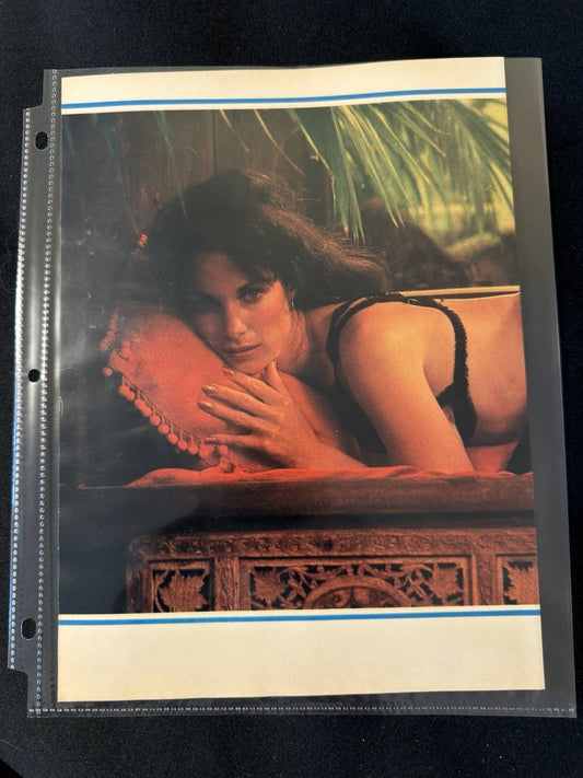 Vintage 1970s Playboy Original Double-Sided Glamour Photo Page Wall Art