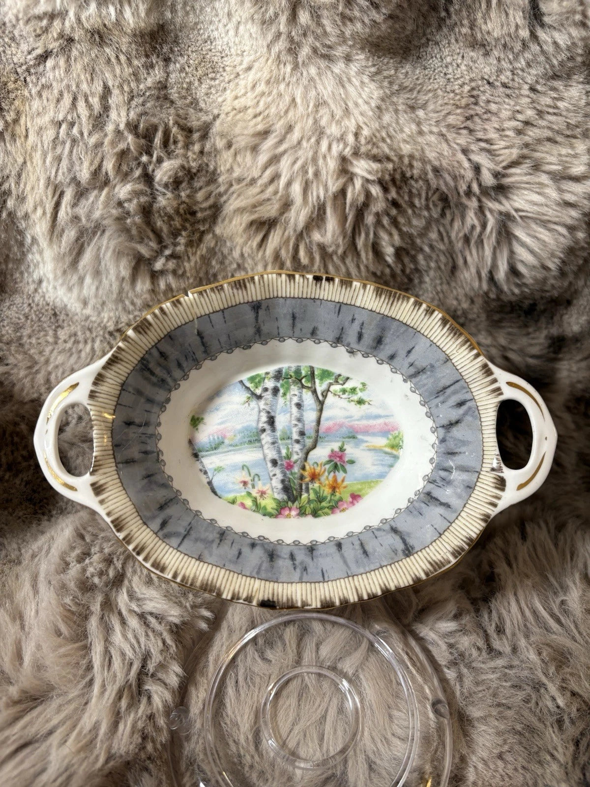 Royal Albert Silver Birch Relish Dish – Bone China – Cracked - Sold As Is