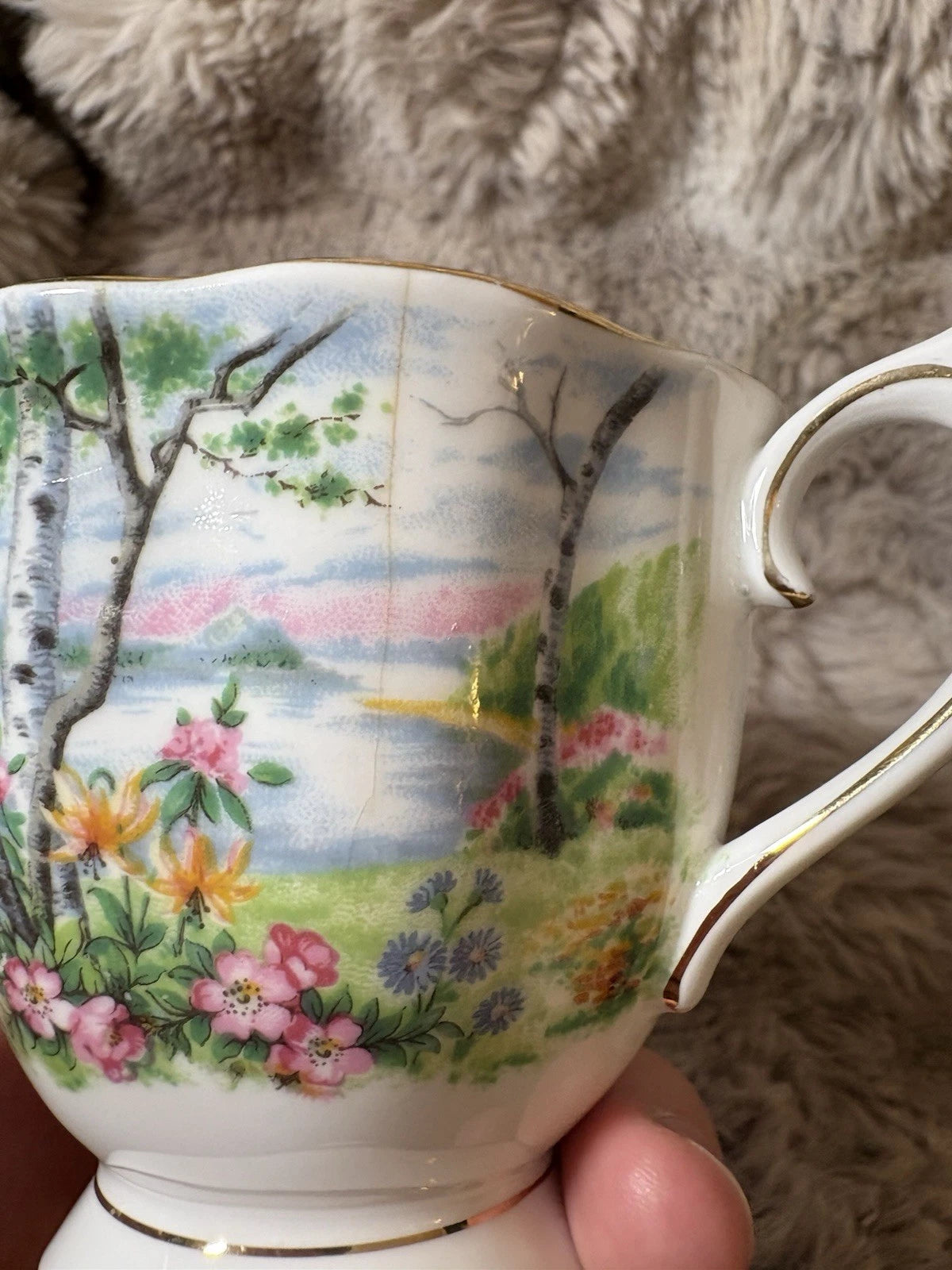 Royal Albert Silver Birch Teacup & Saucer – Both Cracked –Bone China- Sold As Is