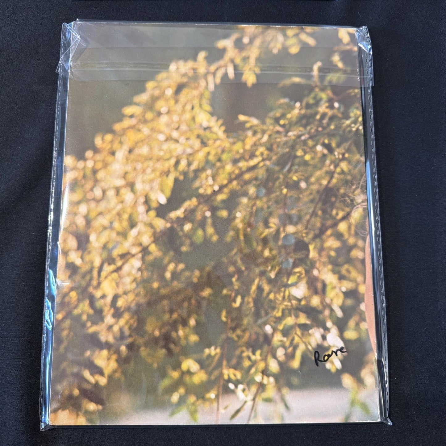 1974 Eve Today Playboy Press Book | Rare Vintage Photography Collector Edition