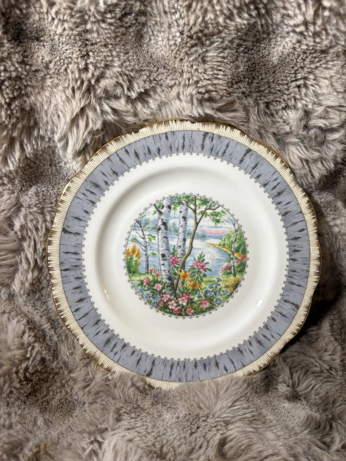 Royal Albert Silver Birch 8” Salad Plate – Bone China England
