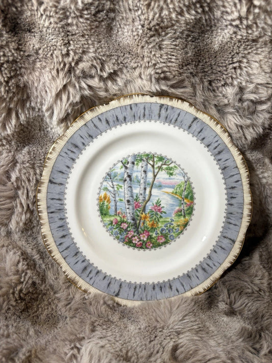 Royal Albert Silver Birch 8” Salad Plate – Bone China England
